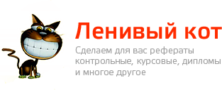 Интернет Магазин Кот Красноярск